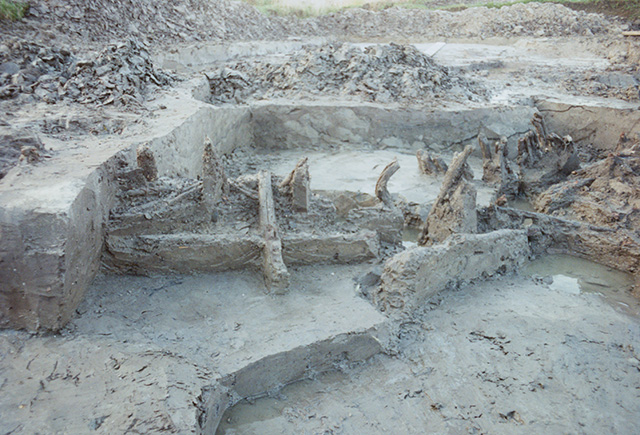 De houten palen van een beschoeiing van een dam uit de Romeinse tijd. In het profiel achter het hout zijn de vlijlagen (zwarte lijnen) en kleizoden (lichte brokken) te zien. Foto: J. ter Brugge, Collectie Archeologie Vlaardingen, 06.036_19940061.